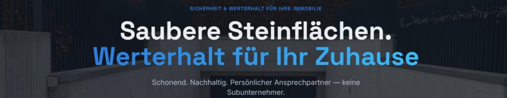 steien reinigen solothurn