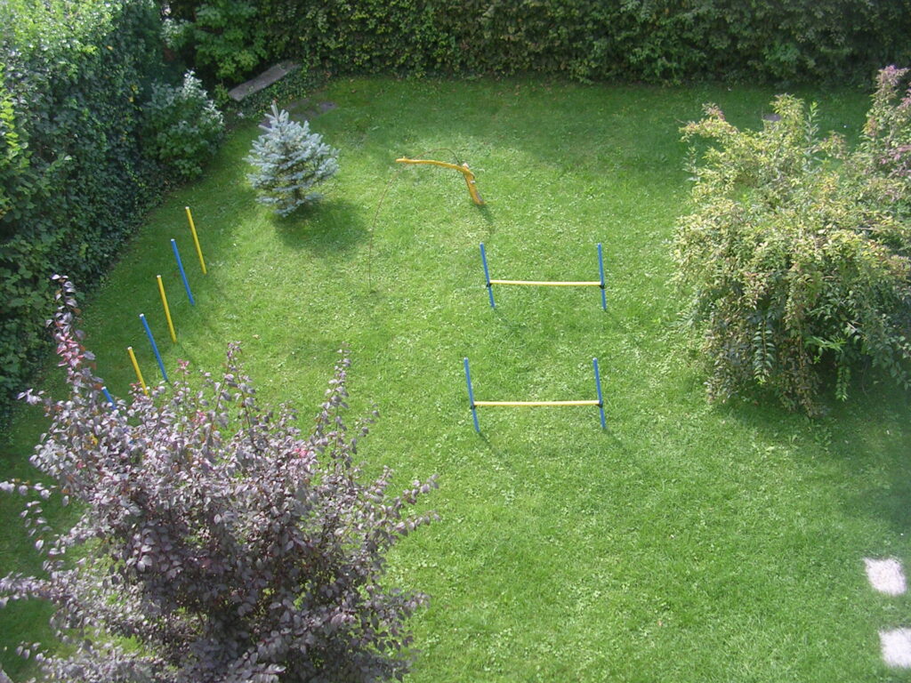 wohnung mit hund und garten