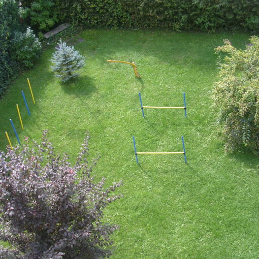wohnung mit hund und garten