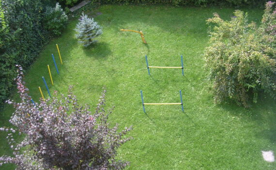 wohnung mit hund und garten
